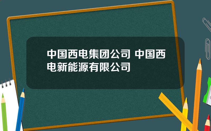 中国西电集团公司 中国西电新能源有限公司